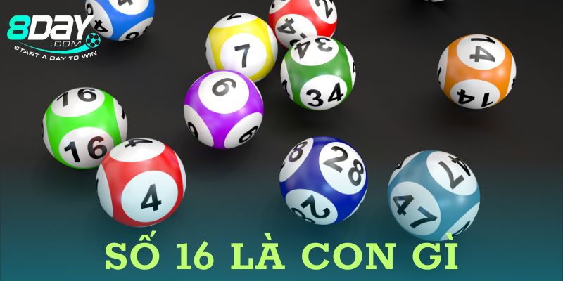 số 16 là con gì